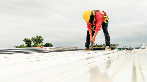 Best Commercial Roofing Services  in St Hedwig, TX