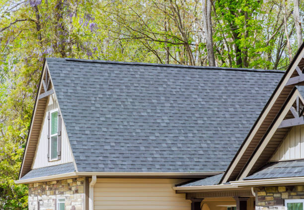 Best Roof Moss and Algae Removal  in St Hedwig, TX